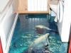 3D полы дельфины в ванной