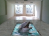 3D полы с дельфином в бассейне